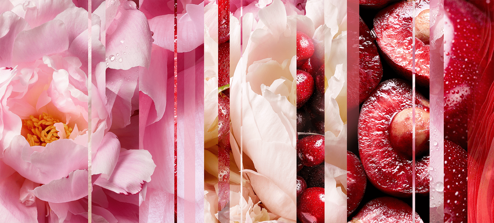 blooming-peony-and-cherry-mnemonic.png