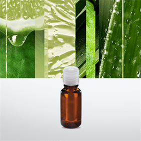 calm-mind-bergamot-and-lemon-grass-aromatherapy-cool-mist-diffuser-refill-listing.png