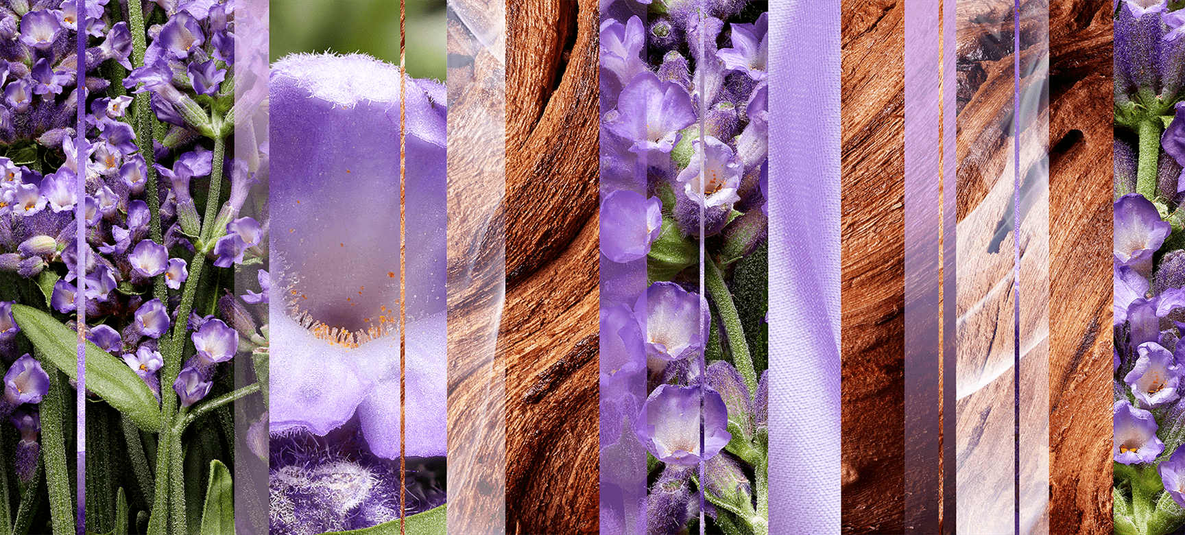 lavender-mnemonic.png