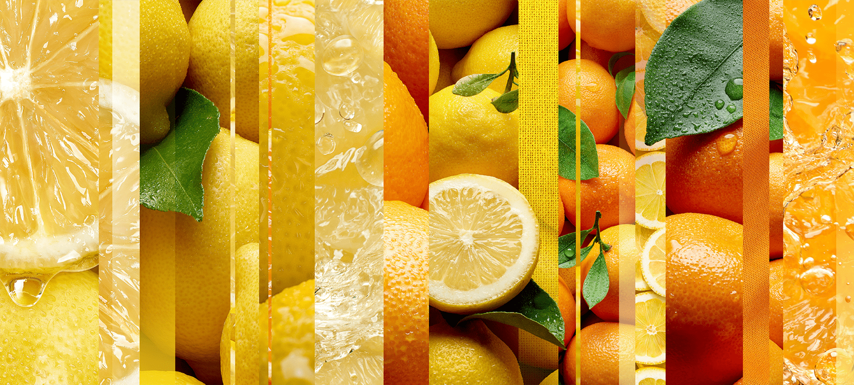 lemon-fresh-mnemonic.png