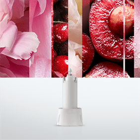 luscious-cherry-and-peony-touch-n-fresh-minispray-refill-listing.png