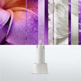 summer-bouquet-touch-n-fresh-minispray-refill-listing.png