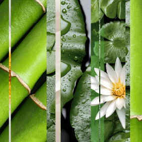 bamboo-and-waterlily-bliss-fragrance-tile