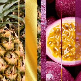 hawaiian-breeze-and-vanilla-passionfruit-fragrance-tile
