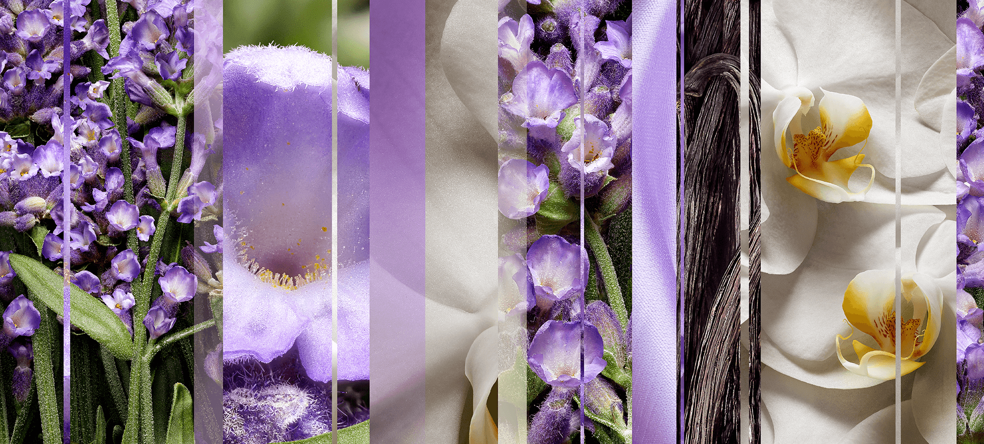 lavender-and-vanilla-mnemonic
