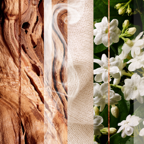 sensual-sandalwood-and-jasmine-fragrance-tile