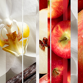 sheer-vanilla-embrace-and-apple-cinnamon-mnemonic-fragrance-tile